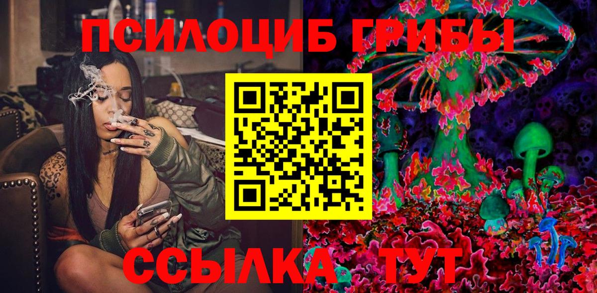 Псилоцибиновые грибы Cubensis Углич
